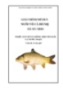 Giáo trình Nuôi vỗ cá bố mẹ - MĐ03: Sản xuất giống một số loài cá nước ngọt