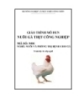 Giáo trình Nuôi gà thịt công nghiệp - MĐ01: Nuôi và phòng trị bệnh cho gà