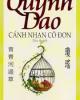 Ebook Cánh nhạn cô đơn - Quỳnh Dao