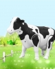 Ebook Kỹ thuật sinh sản cho bò sữa